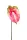 Élethű szálas flamingó fuchsia 70cm