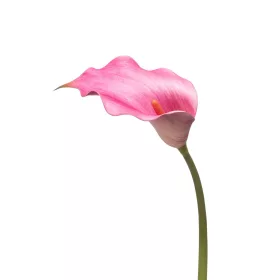 Élethű szálas calla 83 cm - fuchsia