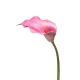 Élethű szálas calla 83 cm - fuchsia