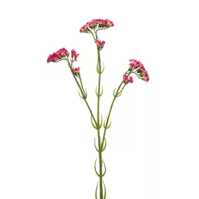 Élethű szálas statice beauty 62cm