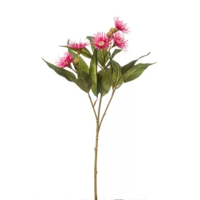 Élethű szálas eukaliptus beauty  62cm