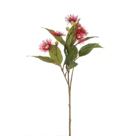 Élethű szálas eucaliptus vörös 62cm