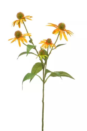 Élethű - kúpvirág sárga 73cm