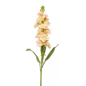 Élethű szálas viola 75cm - barack