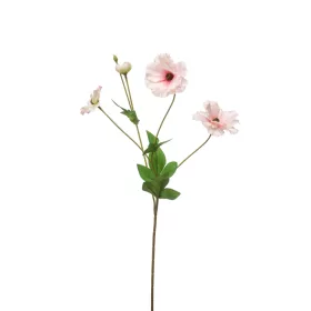 Élethű szálas vadkökörcsin - halvány rózsaszín 50cm