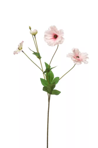 Élethű szálas vadkökörcsin - halvány rózsaszín 50cm
