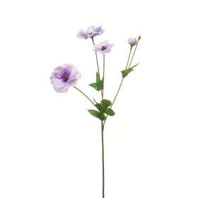 Élethű szálas vadkökörcsin - halvány lila 50cm