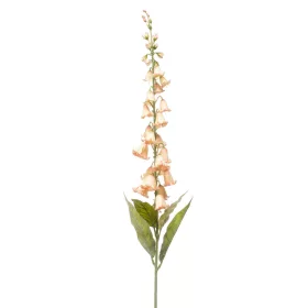 Élethű campanula barack 96cm