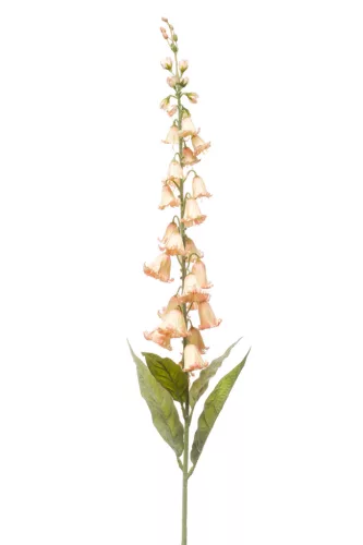 Élethű campanula barack 96cm