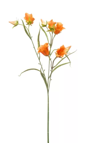 Élethű szálas campanula 3 ágú narancs 65cm