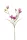 Élethű szálas campanula 3 ágas lila 65cm