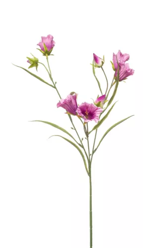 Élethű szálas campanula 3 ágas lila 65cm