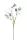 Élethű szálas campanula 3 ágú kék 65cm