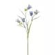 Élethű szálas campanula 3 ágú kék 65cm