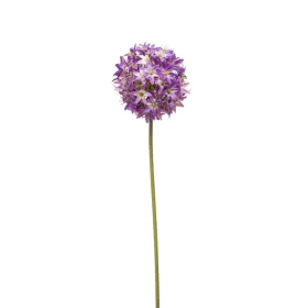 Élethű díszhagyma lila 60cm (allium)