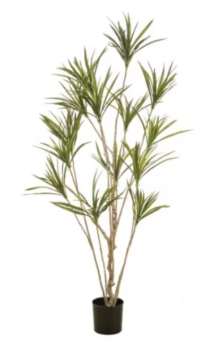 Élethű dracéna műnövény 180 cm – 14 szálas, cserépben