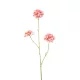 Élethű scabiosa 3 ágú pink 80cm