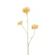 Élethű scabiosa 3 ágú sárga/barack 80cm