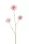 Élethű scabiosa 3 ágú lila  80cm