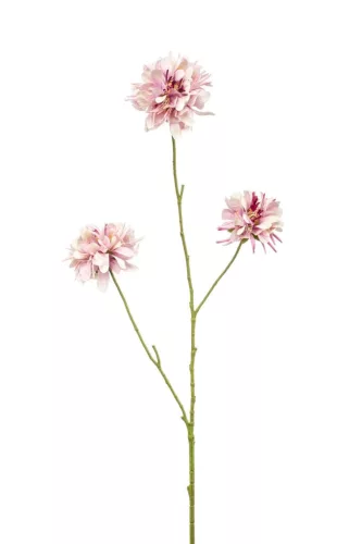 Élethű scabiosa 3 ágú lila  80cm