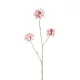 Élethű scabiosa 3 ágú lila  80cm