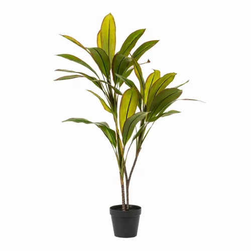 Élethű cserepes cordyline műnövény 3 ágas 105 cm