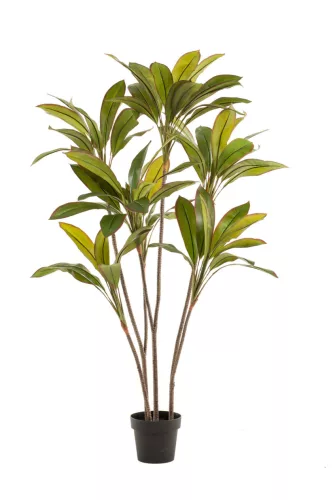 Élethű cserepes cordyline dekorfa 7 száras 160 cm
