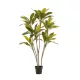 Élethű cserepes cordyline dekorfa 7 száras 160 cm