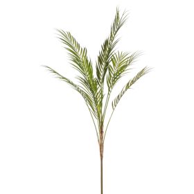 Élethű Chamaedorea pálma 9 ágú 120cm