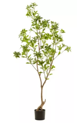 Élethű mű tea cserje fa – 185 cm