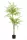 Élethű Sophora műfa 140 cm – 2 törzsű, cserépben