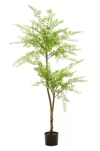 Élethű Sophora műfa 140 cm – 2 törzsű, cserépben