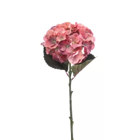 Élethű hortenzia narancssárga 50 cm