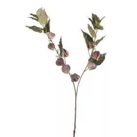 Élethű physalis lila 88 cm
