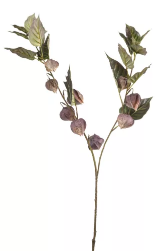 Élethű physalis lila 88 cm