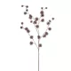 Bogáncs ág burgundy 85cm