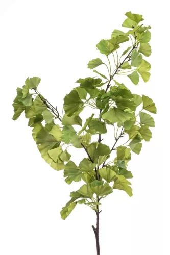 Élethű ginkgo ág zöld 120cm