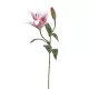 Élethű szálas liliom 56cm - halvány rózsaszín