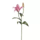 Élethű szálas liliom 56cm -pink