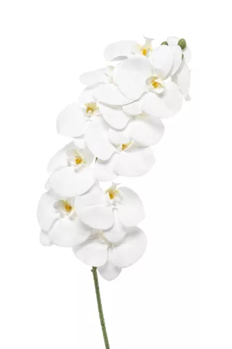 Élethű szálas phalaenopsis(orchidea) 100cm 11 virággal - fehér