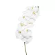 Élethű szálas phalaenopsis(orchidea) 100cm 11 virággal - fehér