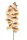 Élethű szálas phalaenopsis(orchidea) 100cm 11 virággal - sárga/fuschia