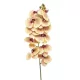 Élethű szálas phalaenopsis(orchidea) 100cm 11 virággal - sárga/fuschia