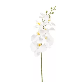 Élethű pillangóorchidea ág 84 cm fehér