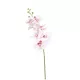 Élethű pillangóorchidea ág 84 cm pink