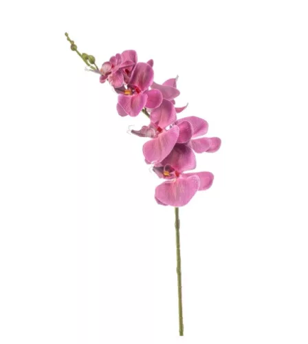 Élethű pillangóorchidea ág 84 cm fukszia