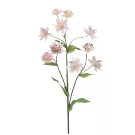 Élethű Astrantia 70 cm világos rózsaszín