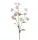 Élethű Astrantia 70 cm világos rózsaszín