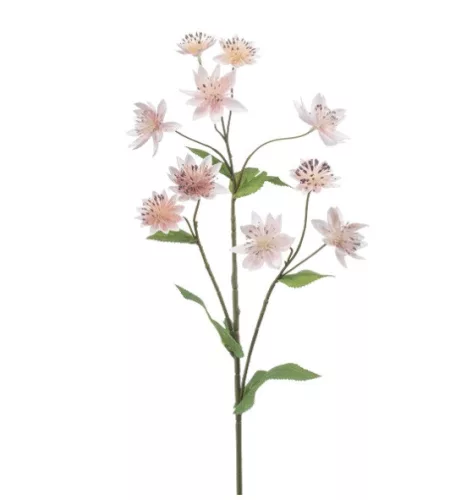 Élethű Astrantia 70 cm világos rózsaszín