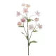 Élethű Astrantia 70 cm világos rózsaszín